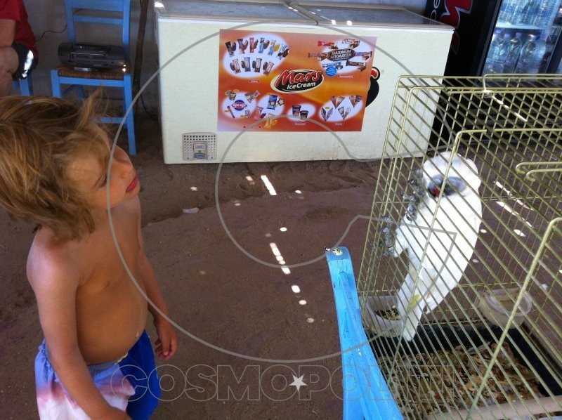 Ο Παράδεισος που Κάηκε..