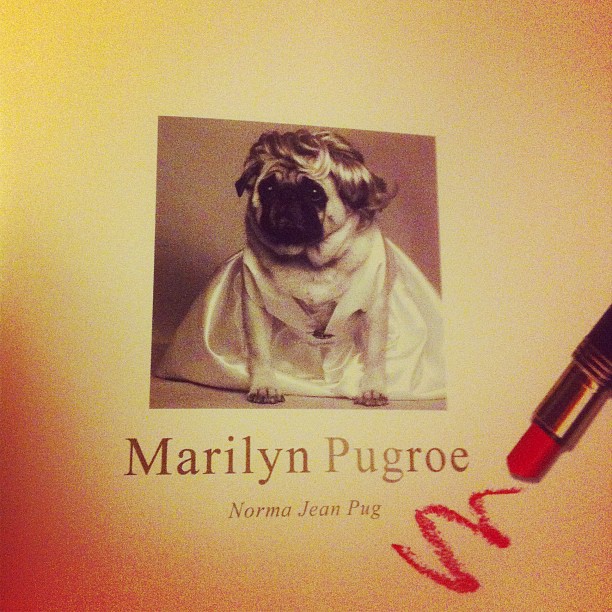  Marilyn Pugroe!