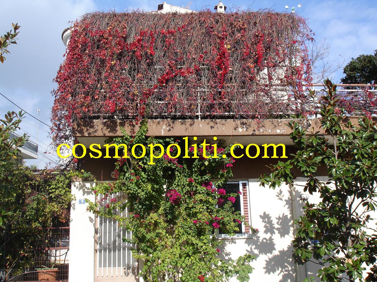 Λαμία Εμπιστευτικό Νο 2!