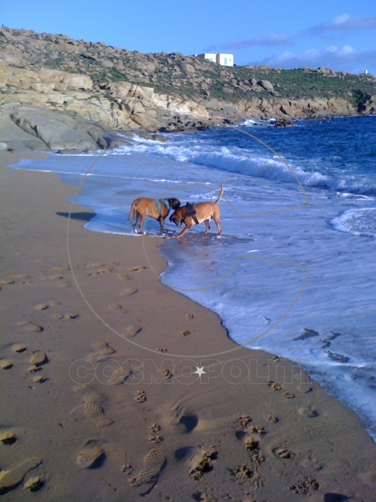 Μύκονος Σήμερα !