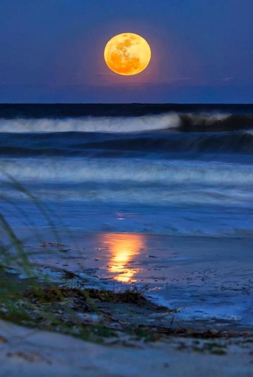 Full Moon In Scorpio!