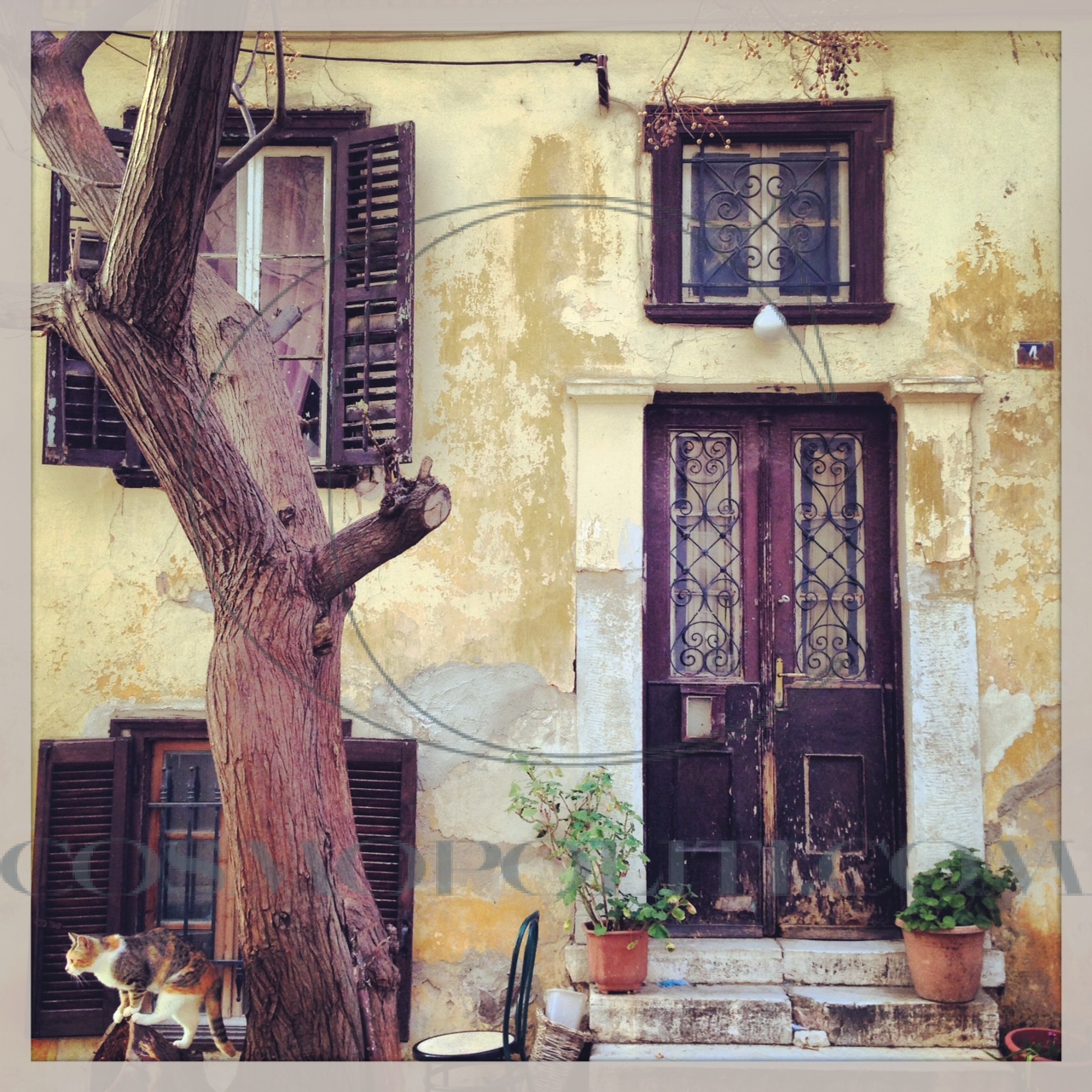 Hot Spots: Plaka Insider! Tips and Beautiful Pics..