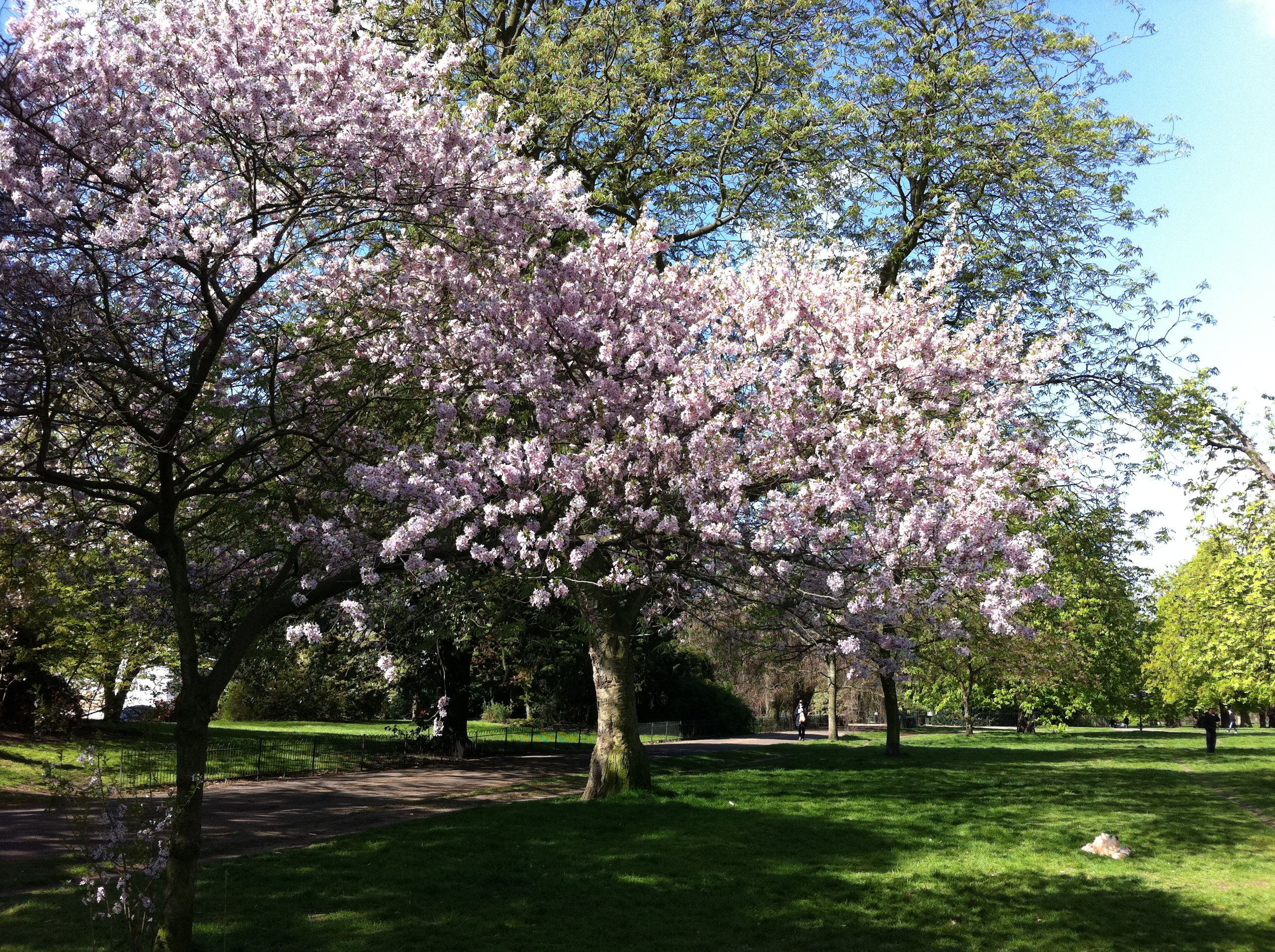 A Stylish Walk in London