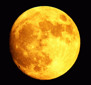 Yellow Moon web