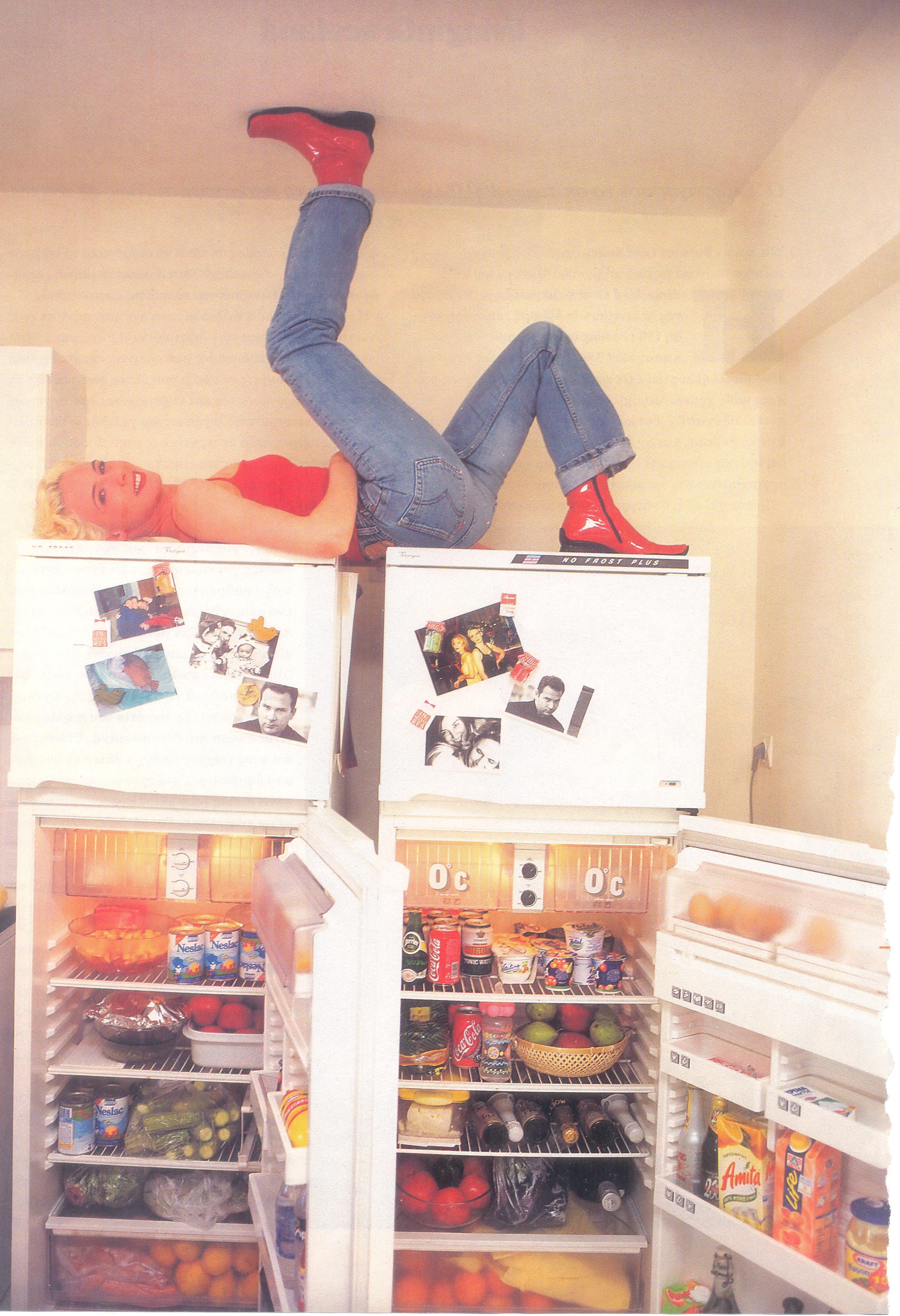 Τα Ψυγεία Της Εβελίνας Παπούλια!