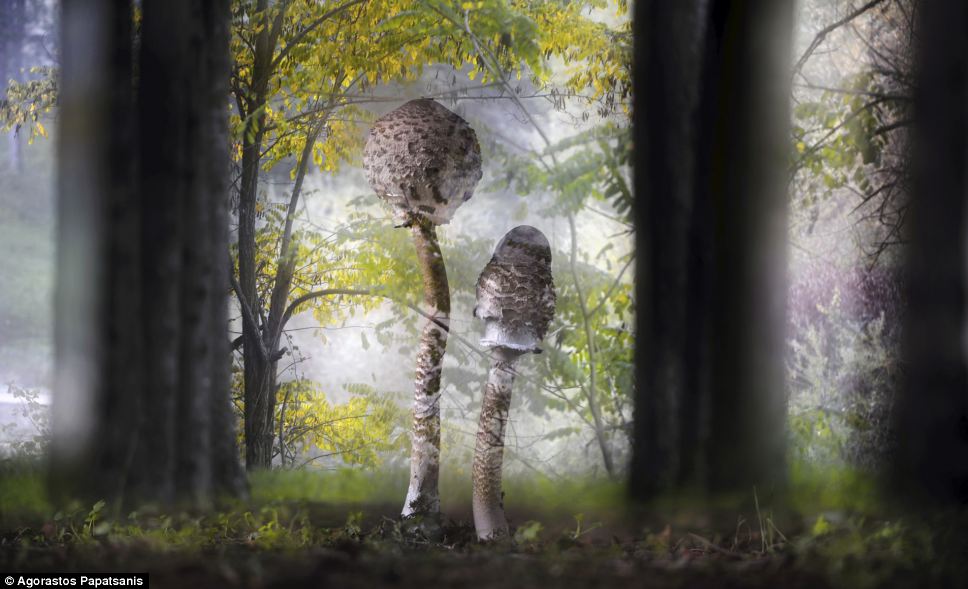 Έλληνας Φωτογράφος Διαγωνίζεται Στο Λονδίνο