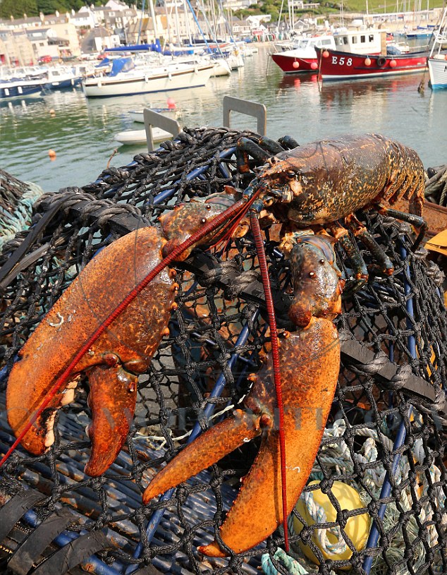 'Lobby' the giant lobster, Lyme Regis, Dorset, Britain - 26 Jun 2013