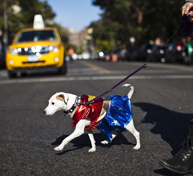 A dog in costume crosses a street to attend the 23rd annual Tompkins Square Halloween Dog Parade in New York