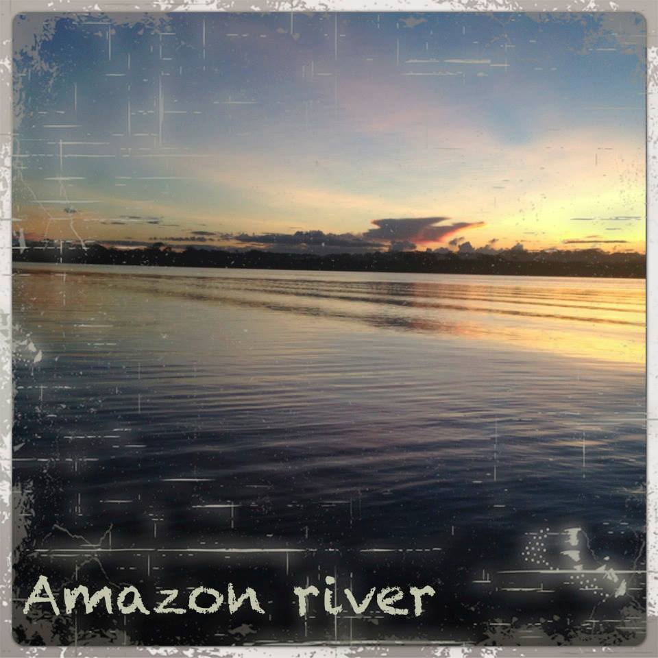 1441178_10151816481636700_289306444_n