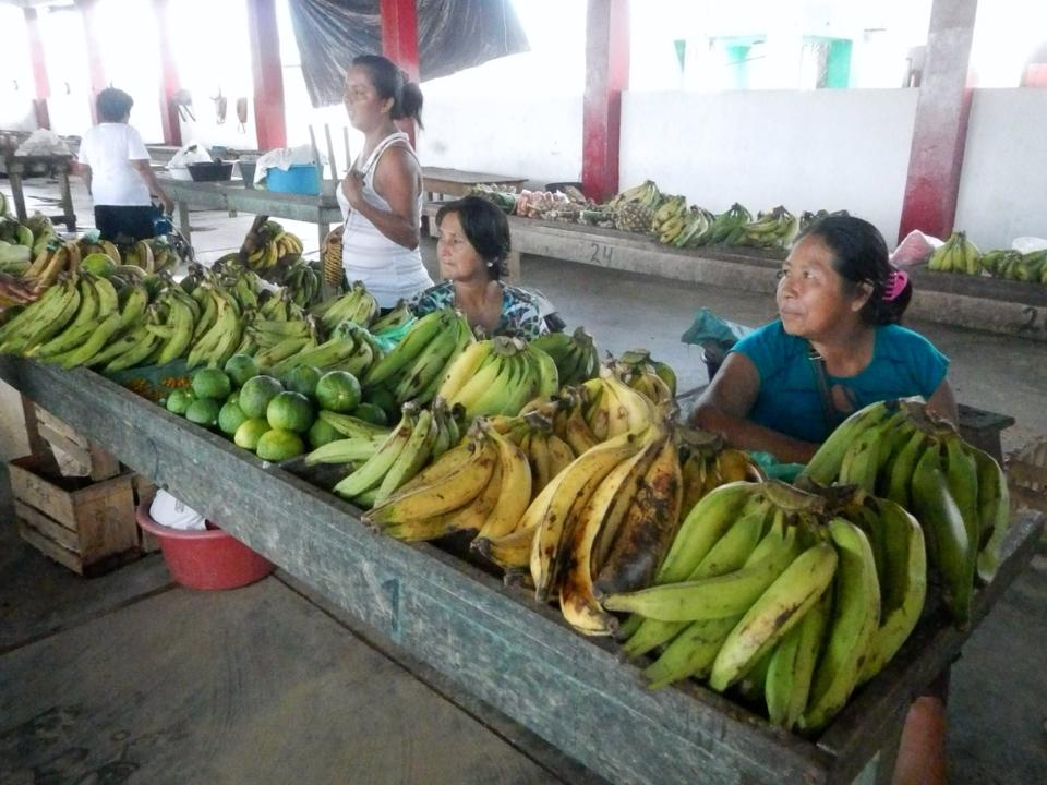 1451603_10151816543861700_1607999645_n