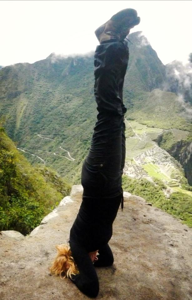 1460967_10151790411391700_1146804755_n