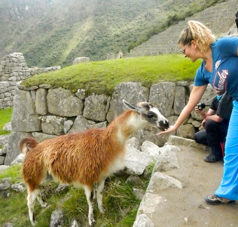 1465193_10151790412421700_96371775_n