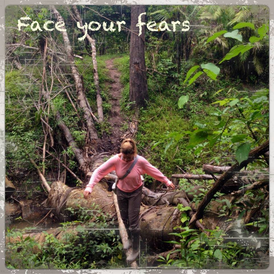 1471279_10151816481681700_1166287164_n