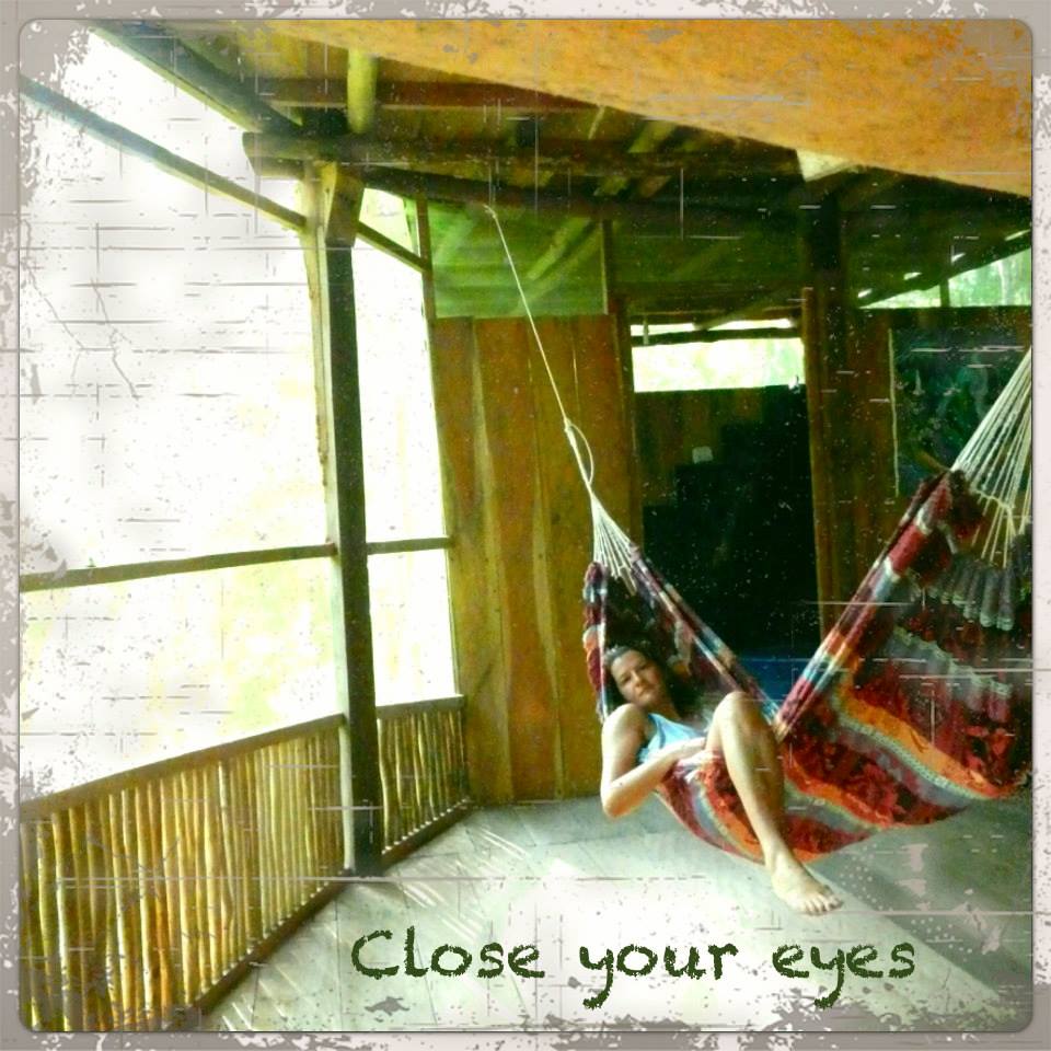 1472048_10151816481336700_1967048804_n