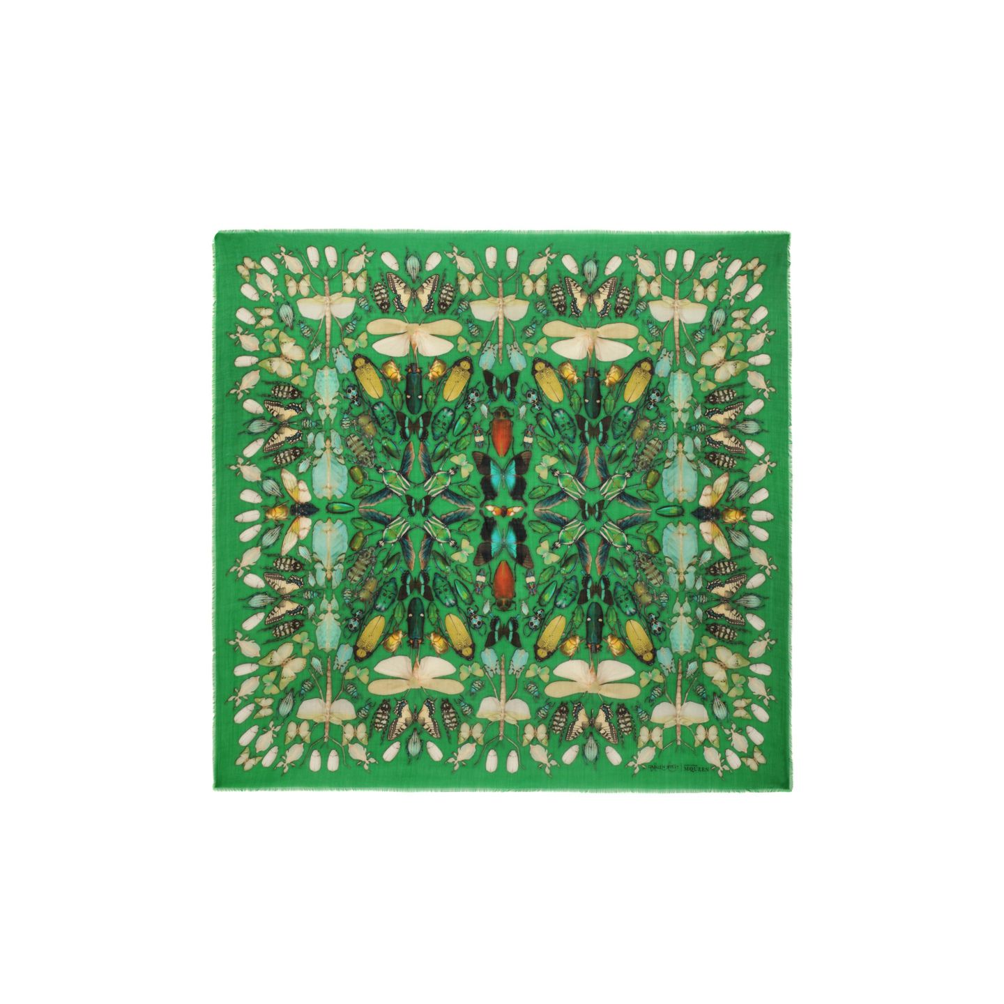 Now you can WEAR your art!