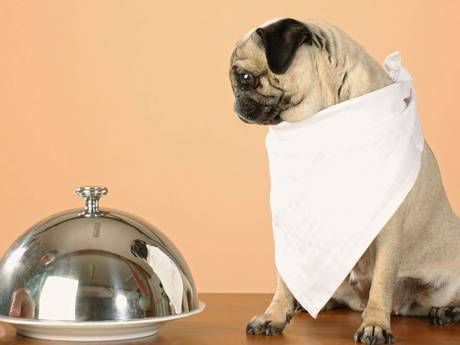 The dog-friendly restaurants where the meat is best served on the bone…