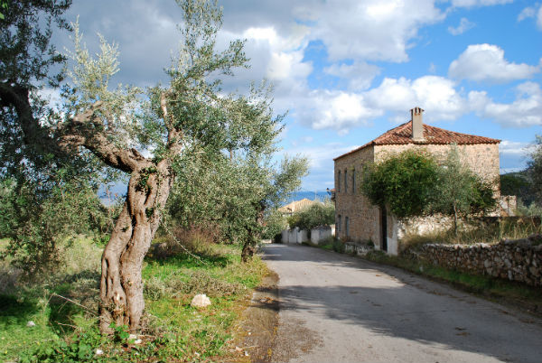Κάτι τρέχει στο Λεωνίδιο