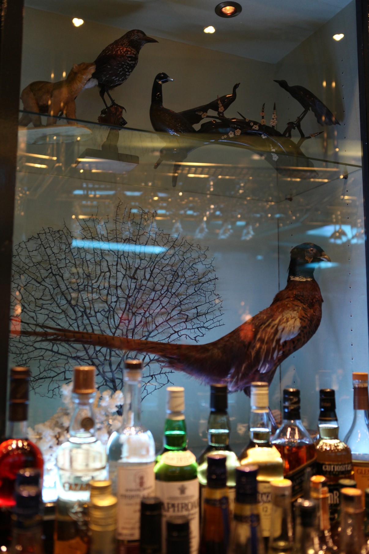 Στον “Κύριο” για Martini με κάππαρη και αυγοτάραχο..