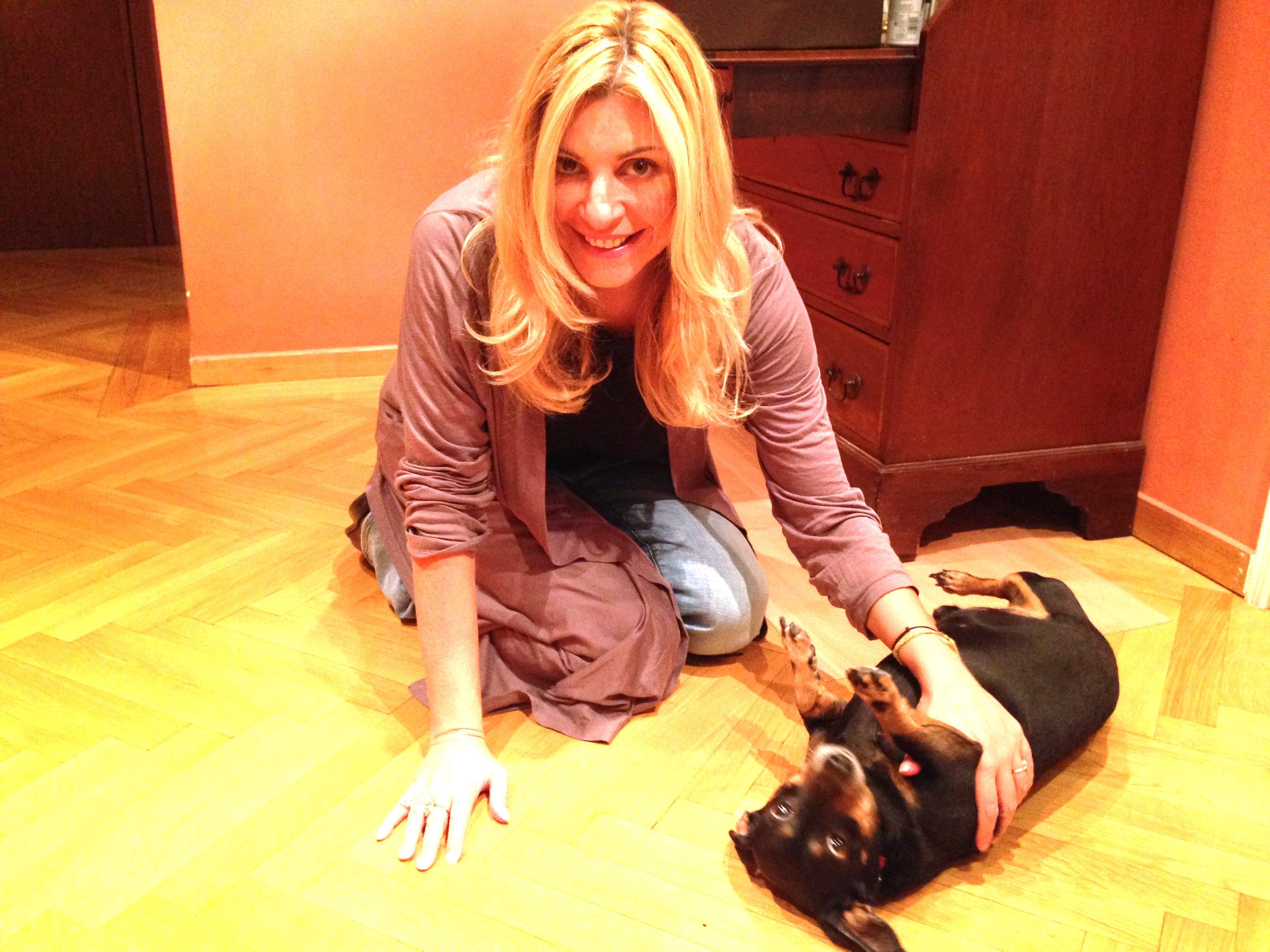 Βρήκες έναν αδέσποτο σκύλο;