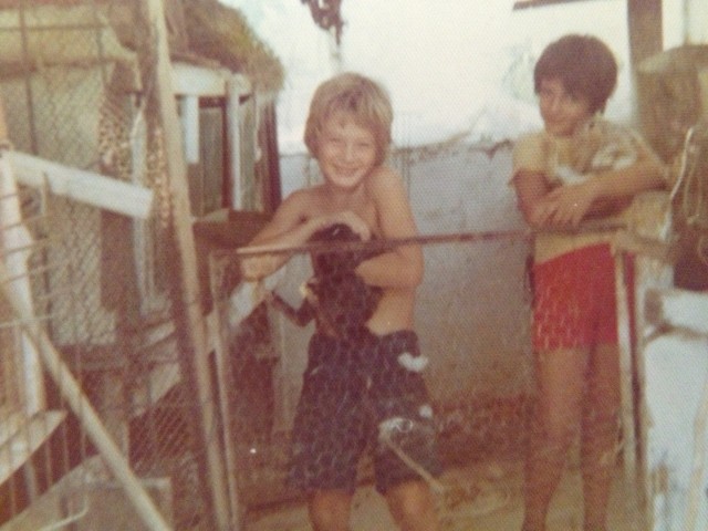 Why I don’t eat stifado …