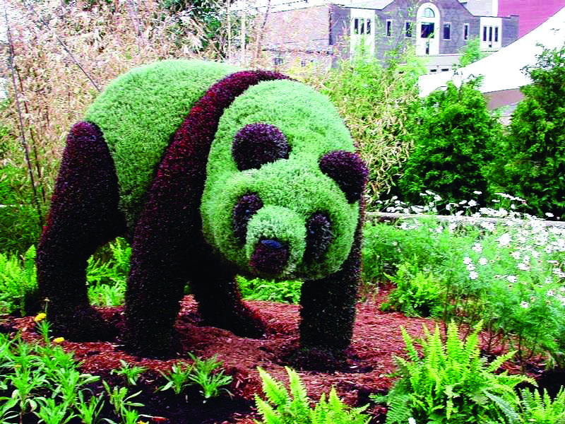 panda-image-courtesy-of-mosaïcultures-internationales-de-montréal