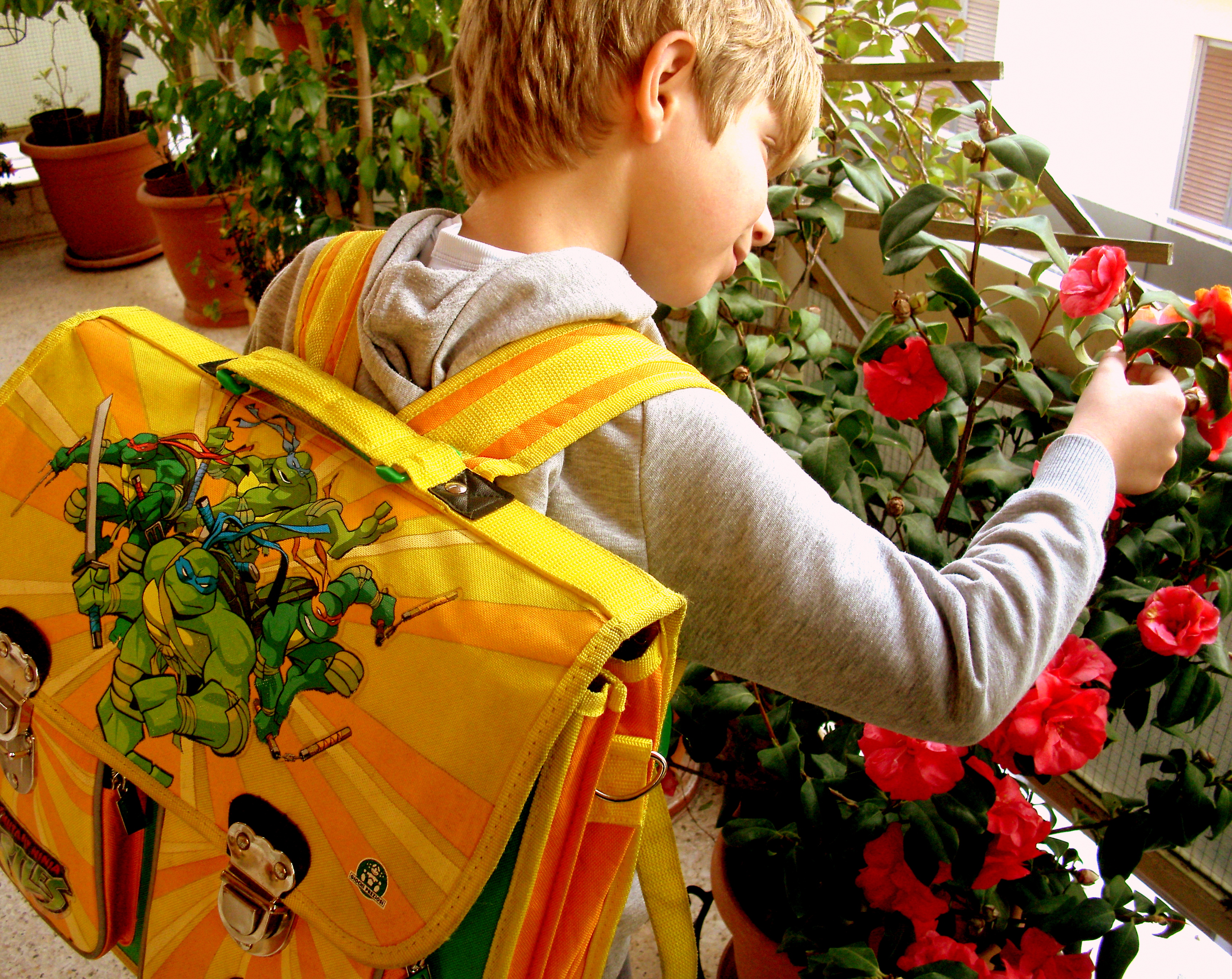 Το Δισάκι Της Νέας Γενιάς