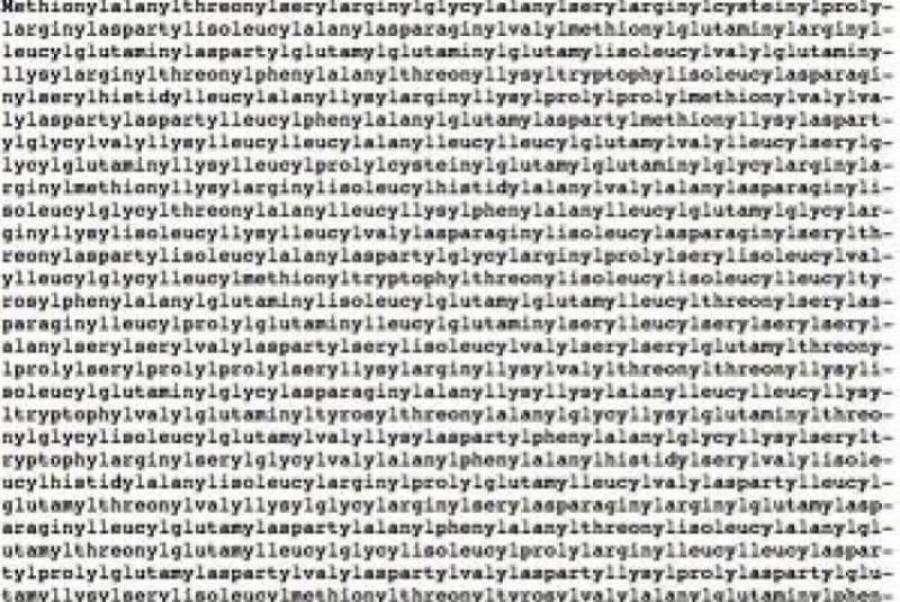 13a61c3de3c62c654f6079ae140e6f2e_XL