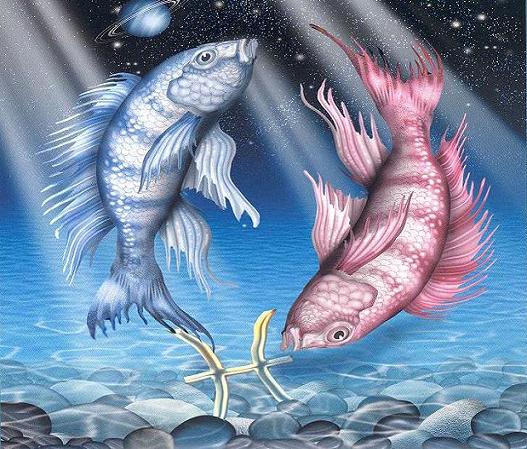 Tα Ζώδια της Εβδομάδας: Ιχθύ,αν θέλεις να ρίξεις τη ζωή σου σε μια μάντρα, μπορείς εύκολα..