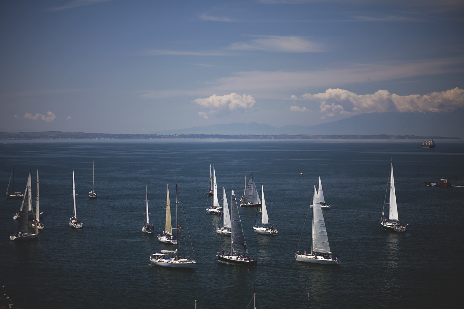 Sail For Pink Με 50 Ιστιοφόρα!