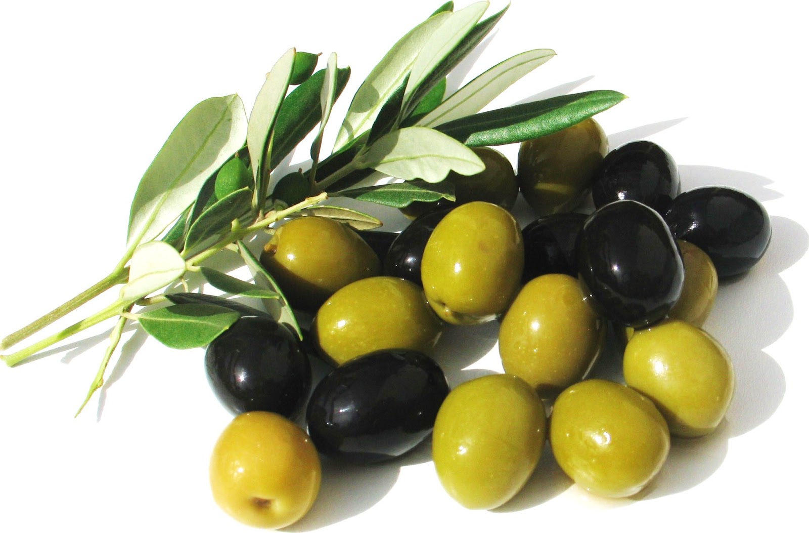 Mελέτη Έλληνα Επιστήμονα Για Τις Ελιές!