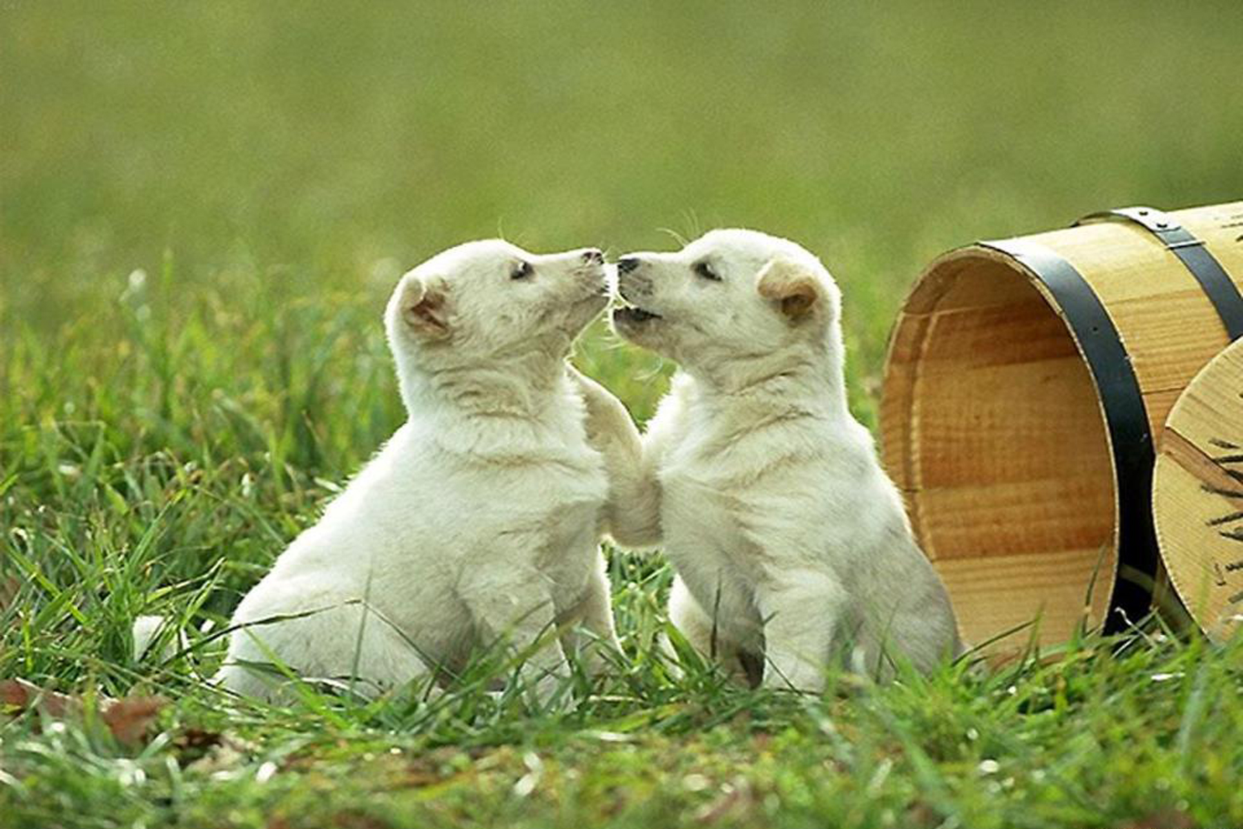 Πείτε Όχι Για Να Είστε Ευτυχισμένοι!