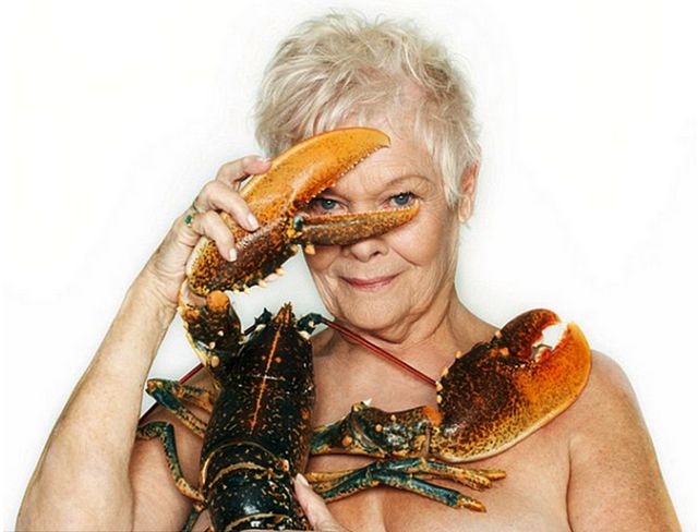 H A-Σεξουαλική Αναπαραγωγή Σταματά Το Χρόνο! Και Τι Σχέση Έχει Ο Αστακός;