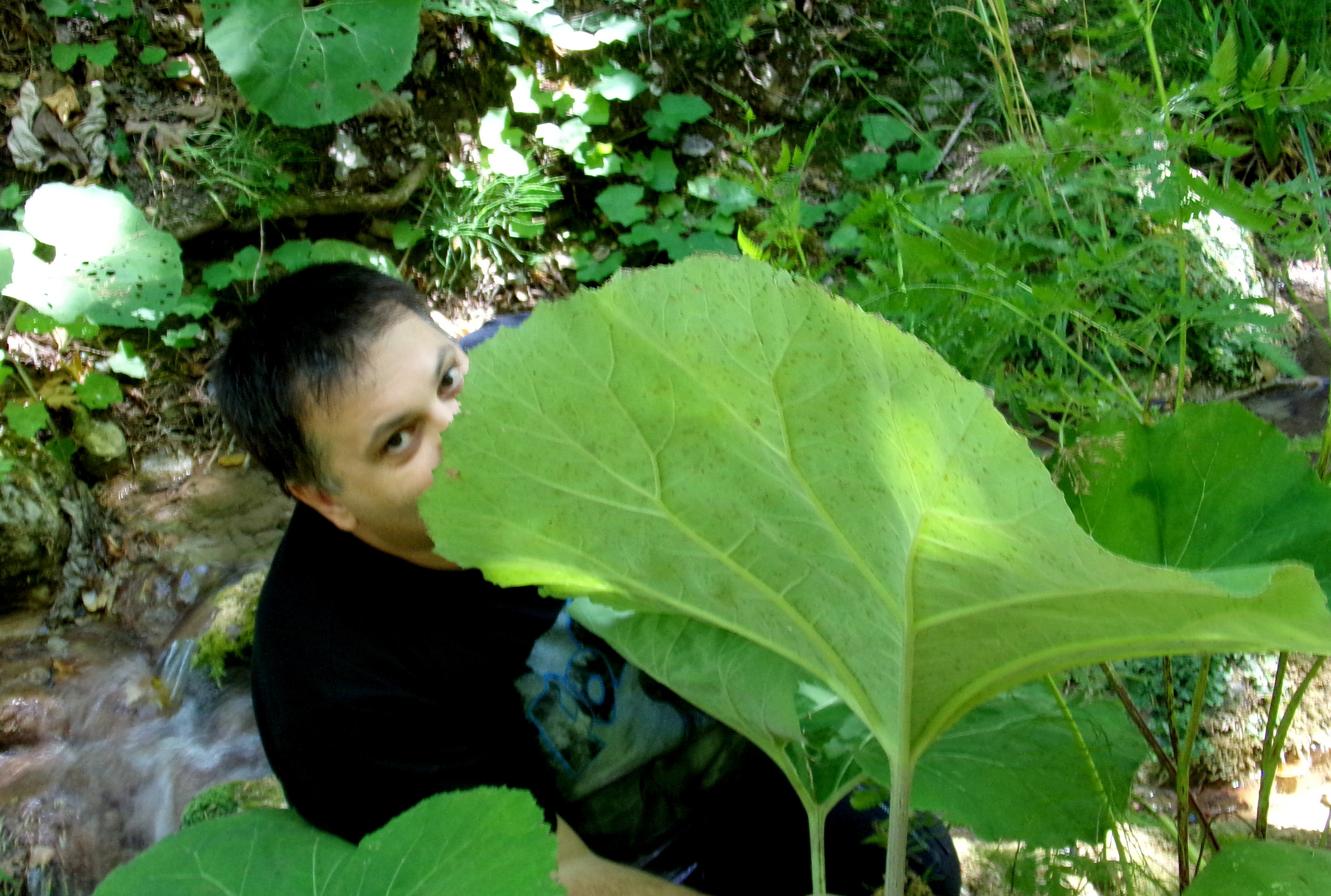 Παύλιανη, στο μονοπάτι της χαράς και της taleporias