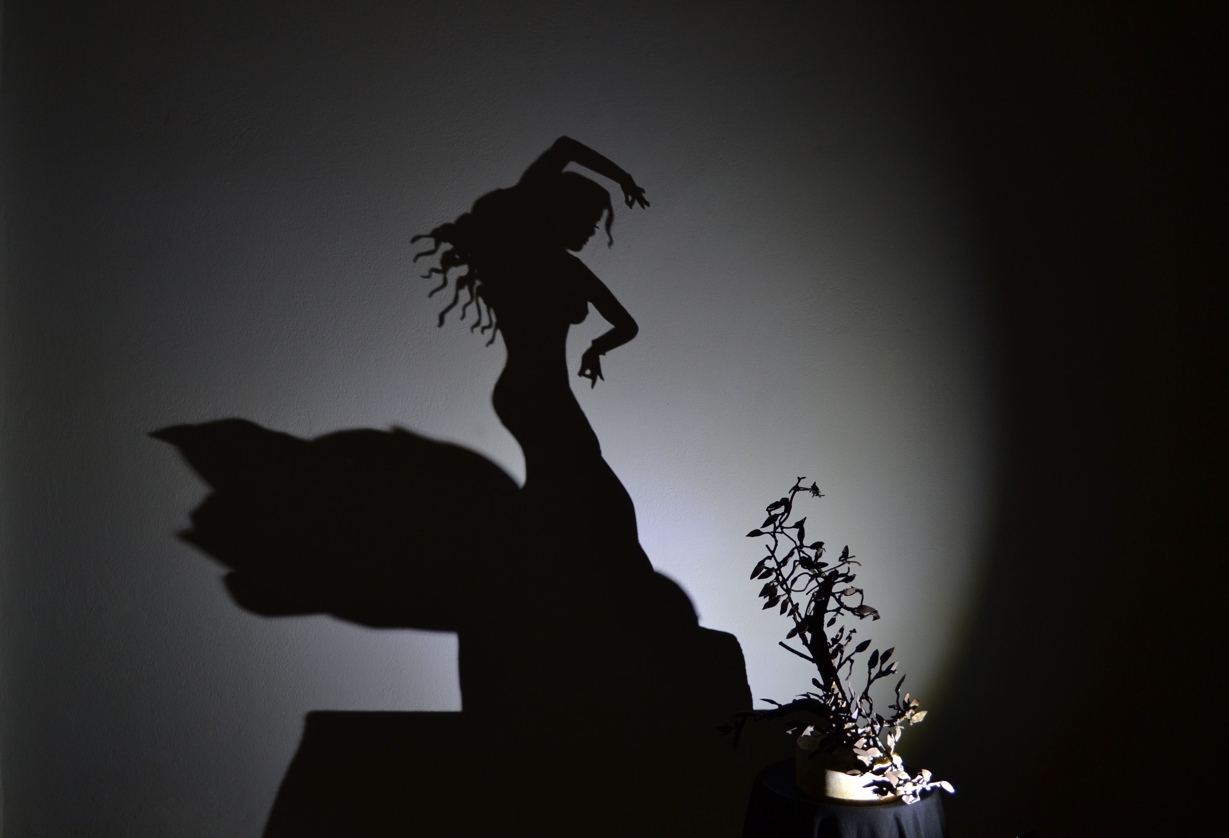 Έκθεση με σκιές του Teodosio Sectio Aurea στην Κρήτη