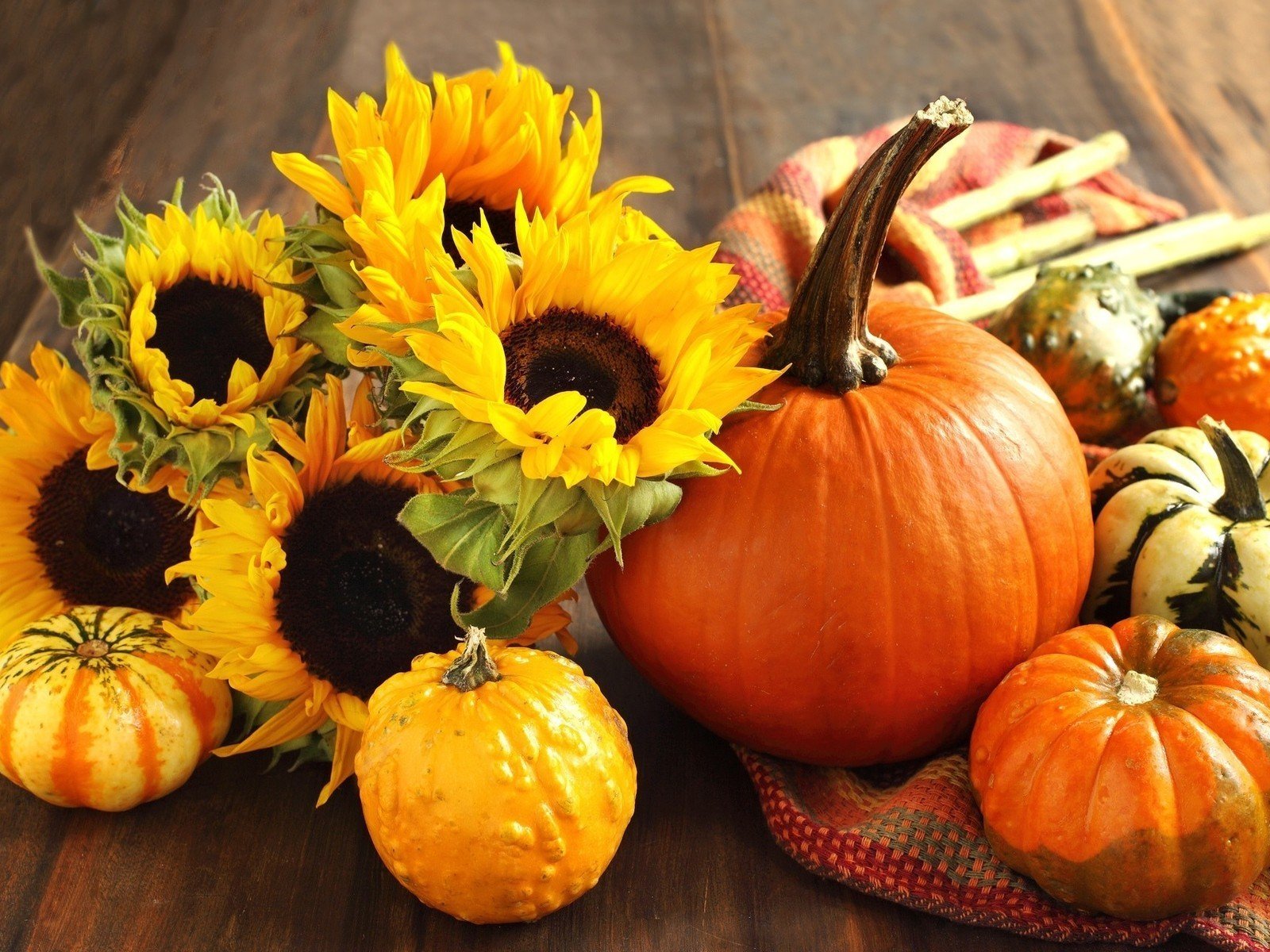 food-pumpkin-sunflowers-cloth-wood-harvest-1600x1200