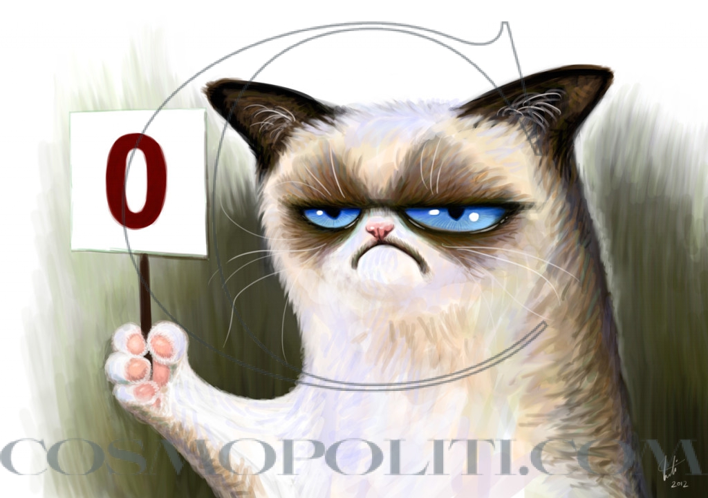 grumpy-cat-wallpaper-i-opened-you-once-1