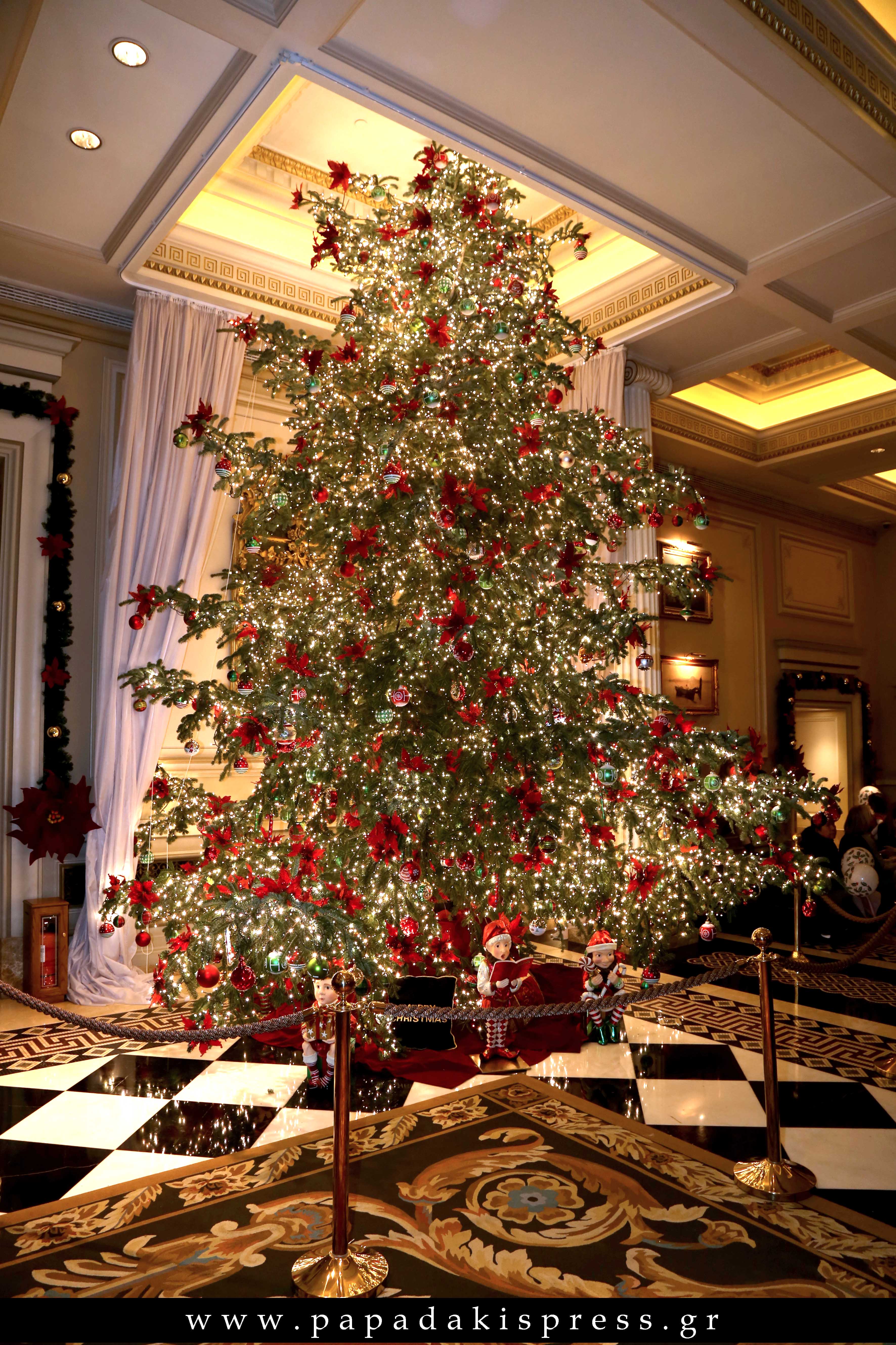 Η Μεγάλη Βρεταννία άναψε το Χριστουγεννιάτικο δέντρο της