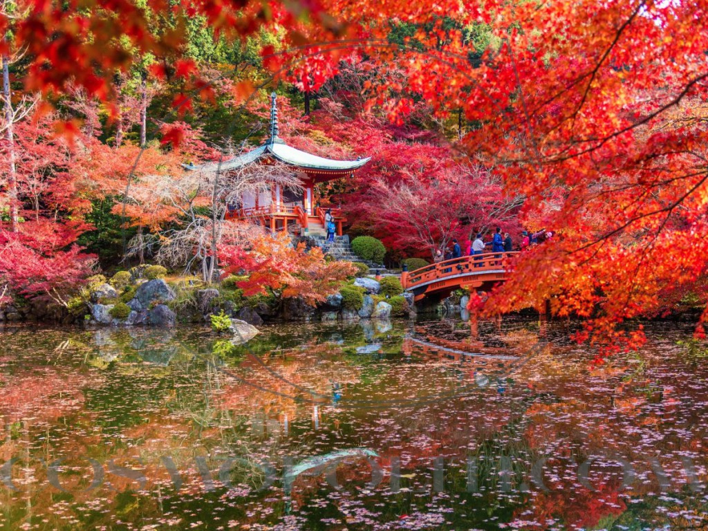 kyoto-japan-this-is-the-second-year-in-a-row-that-kyoto-has-been-named-the-best-city-in-the-world-by-travel--leisure-an-award-based-off-of-votes-from-travelers-the-city-is-rich-in-history-and-home-to-many-incredible-temp