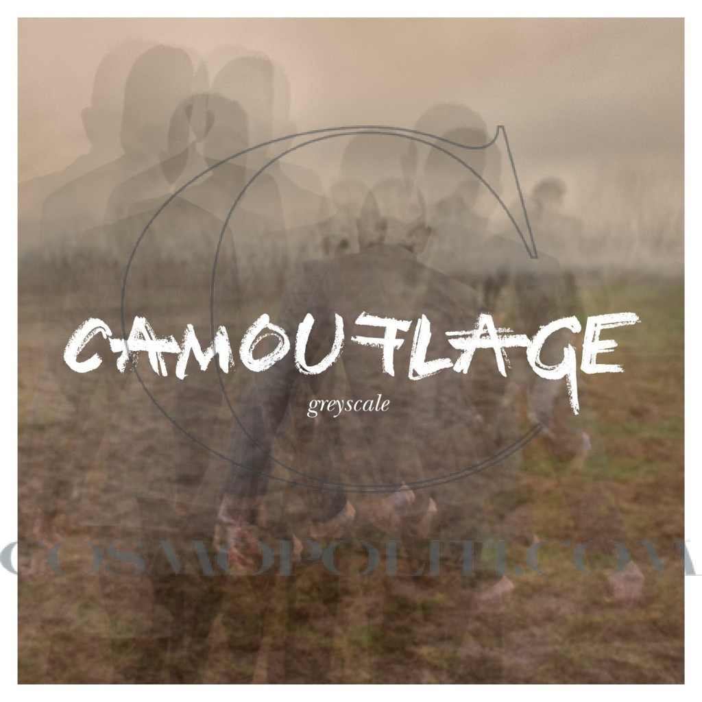 2.Camouflage – Greyscale