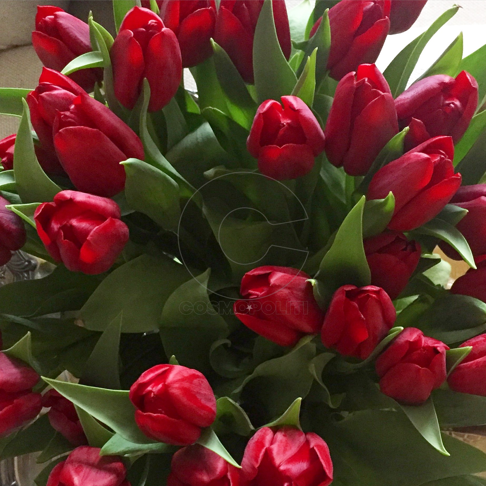 Λουλούδια..