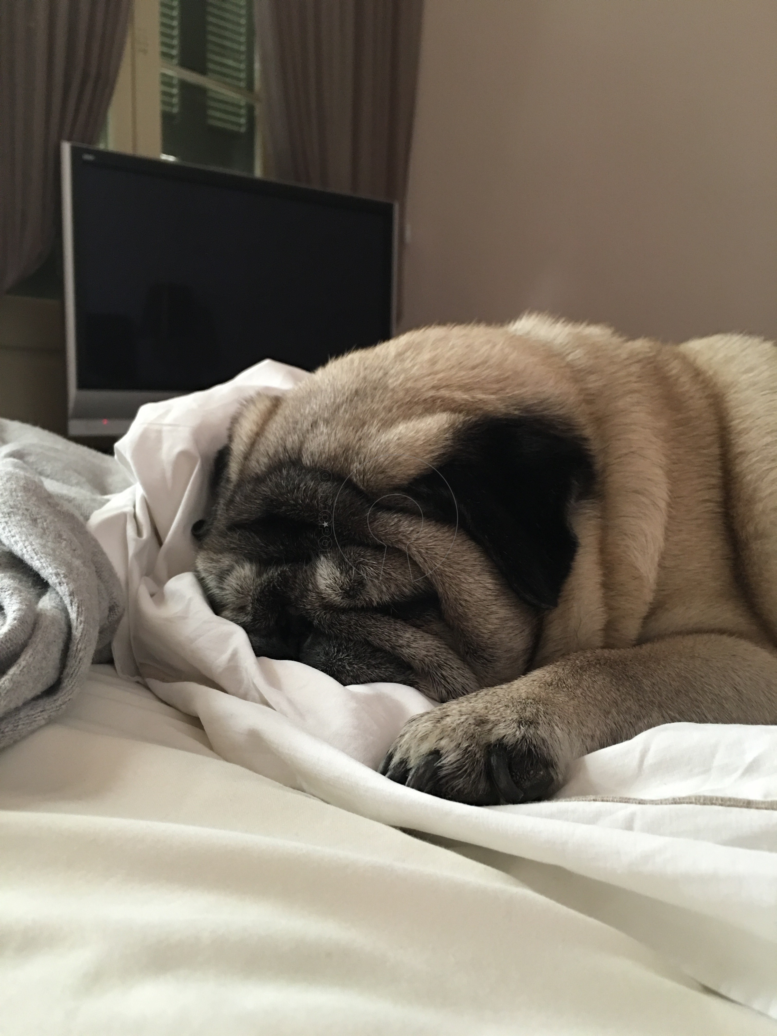 Γιατί δεν πρέπει να στρώνετε ποτέ το κρεβάτι σας !