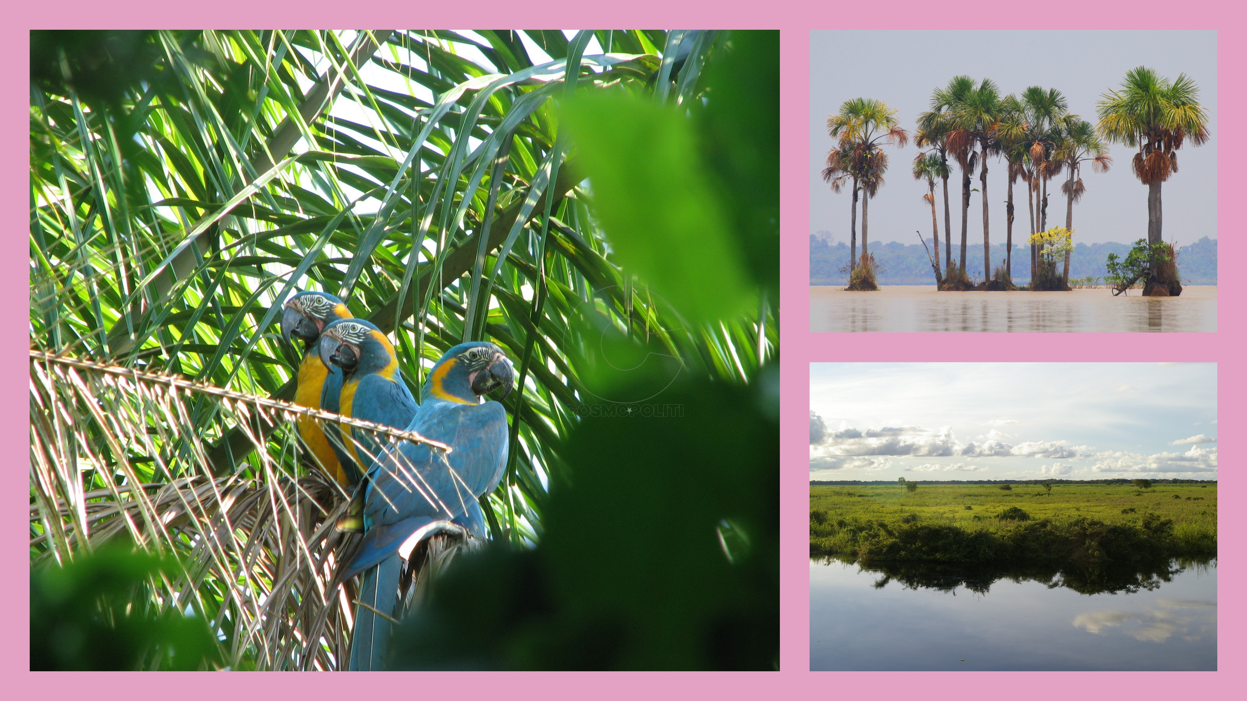 Llanos de Moxos: ο μεγαλύτερος υδροβιότοπος στη γη.