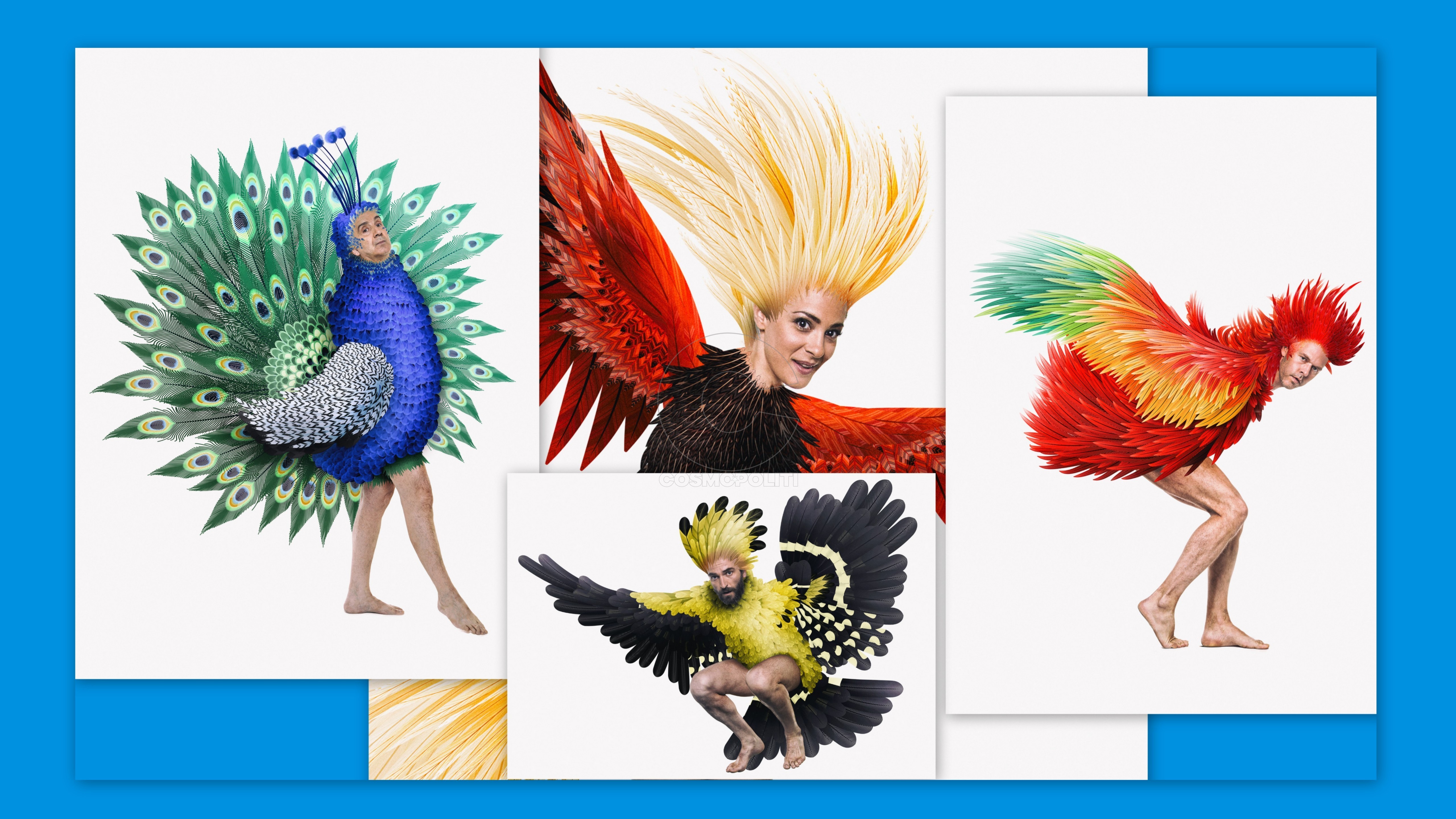 Όρνιθες: αποκλειστικά στην Επίδαυρο