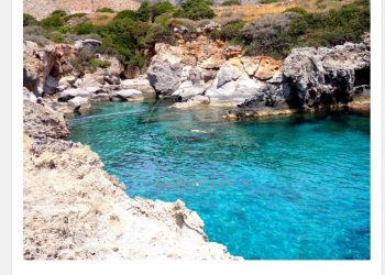 Μπάνιο για τολμηρούς στο Απολιθωμένο Δάσος