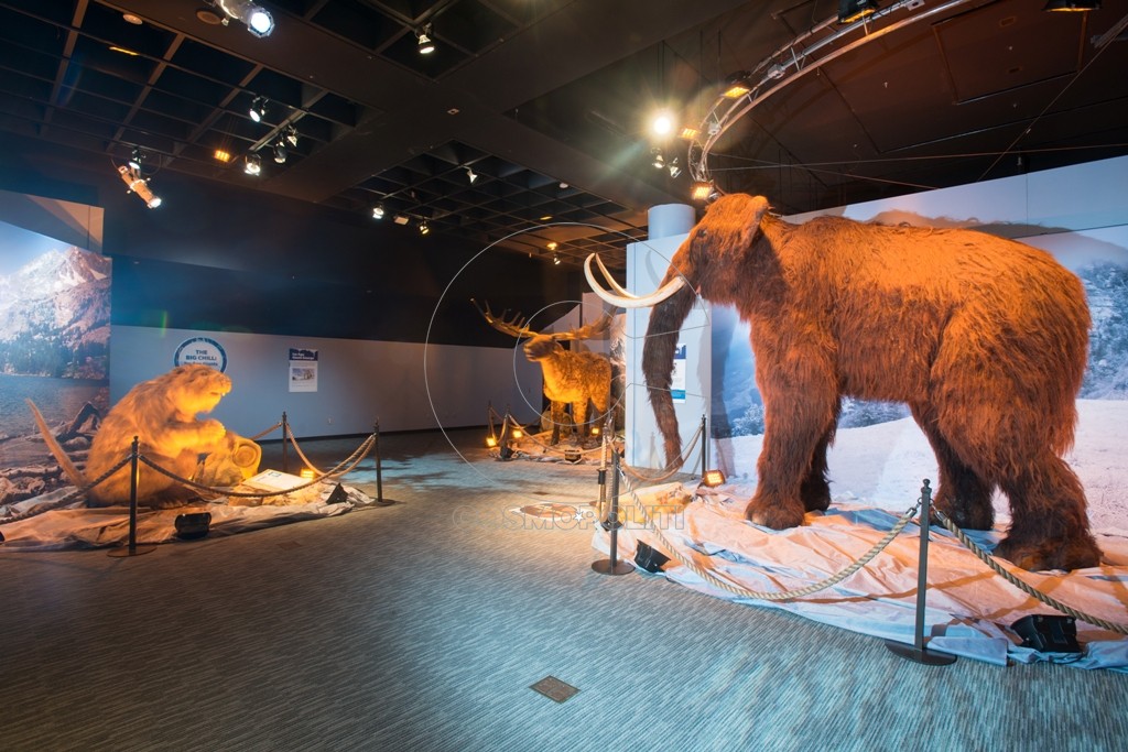 O Eλληνικός Κόσμος βρίσκεται… “Στην εποχή των παγετώνων”