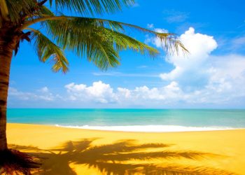 Εκεί είναι πάντα καλοκαίρι (Β’ μέρος)