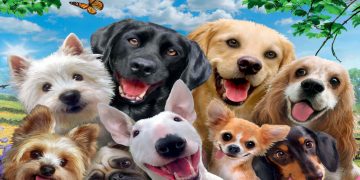 10 μυστικά που δεν σας λέει o σκύλος σας – και πρέπει να ξέρετε!