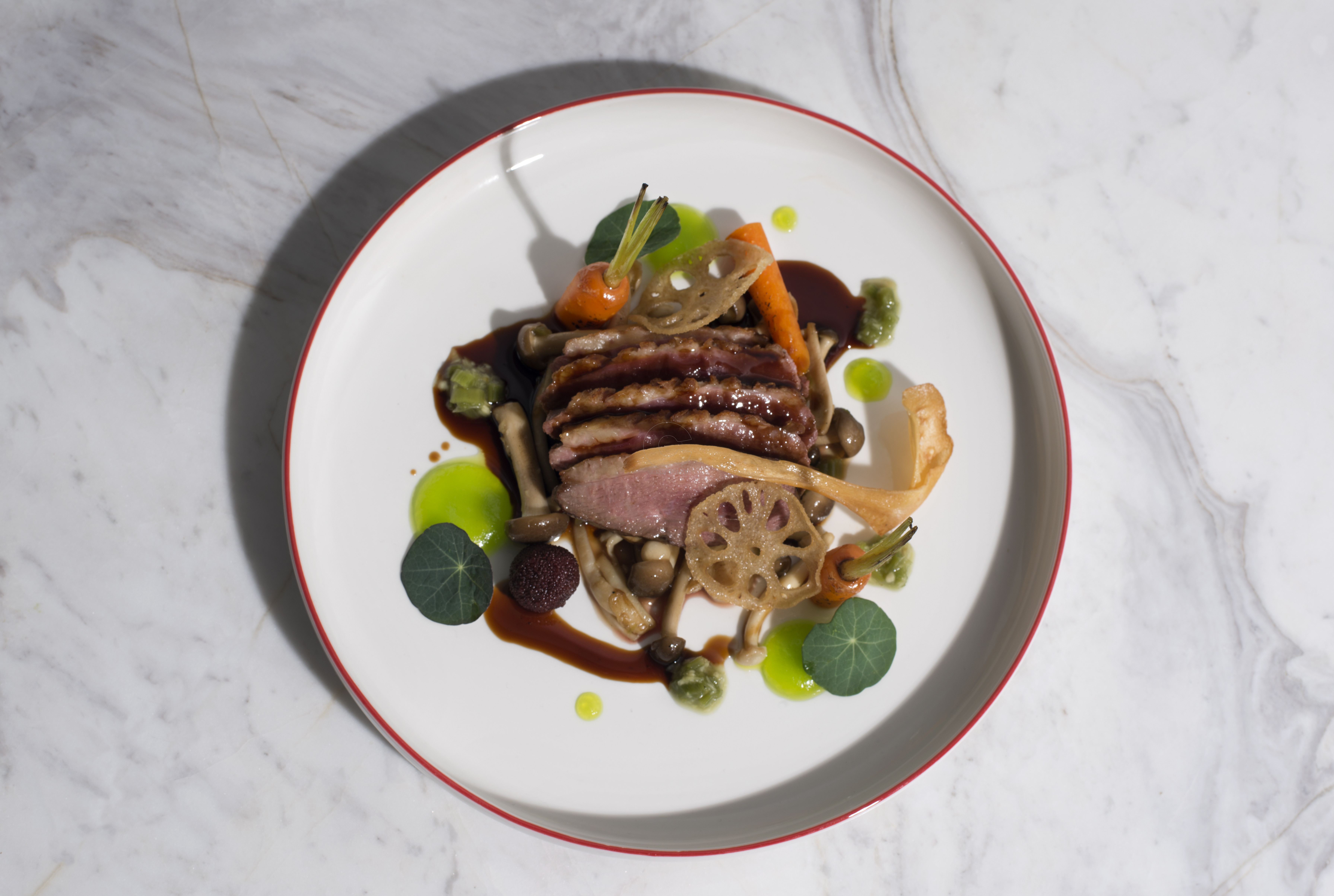 Slow Cooked Duck Breast with Wasabi Salsa