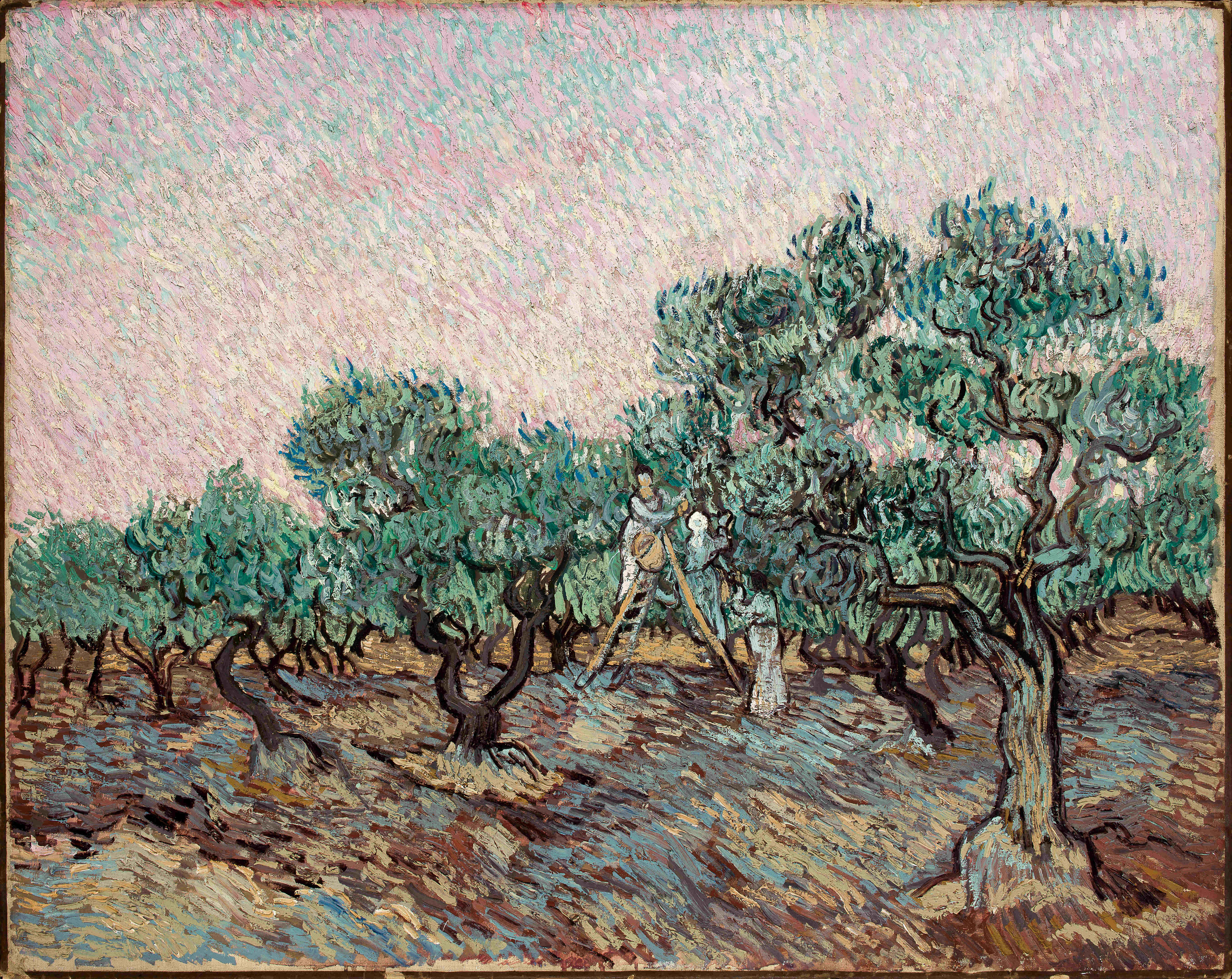 Vincent van Gogh_La cueillette des olives