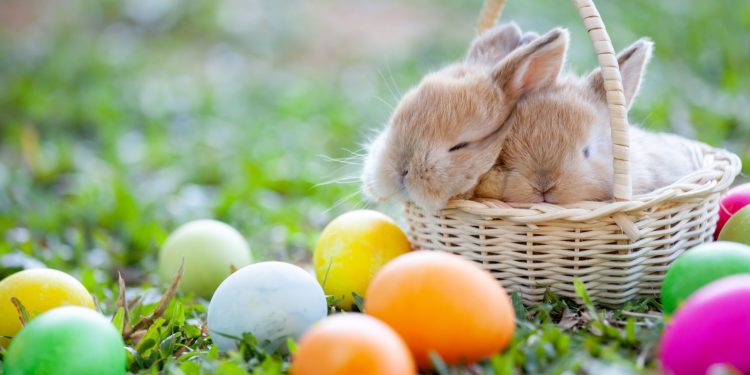 Kυριακή του Πάσχα